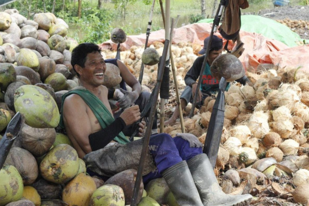 daging kelapa Surabaya